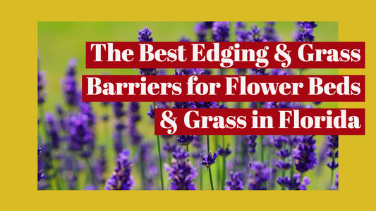 The Best Edging & Grass Barriers for Flower Beds & Grass in Florida