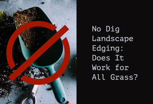 No Dig Landscape Edging: Does It Work for All Grasses?