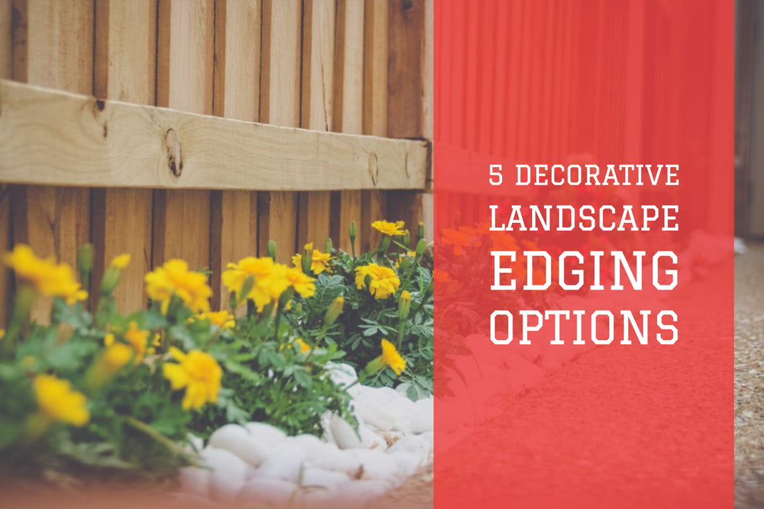 Decorative Landscape Lawn Edging Options:  5 Choices