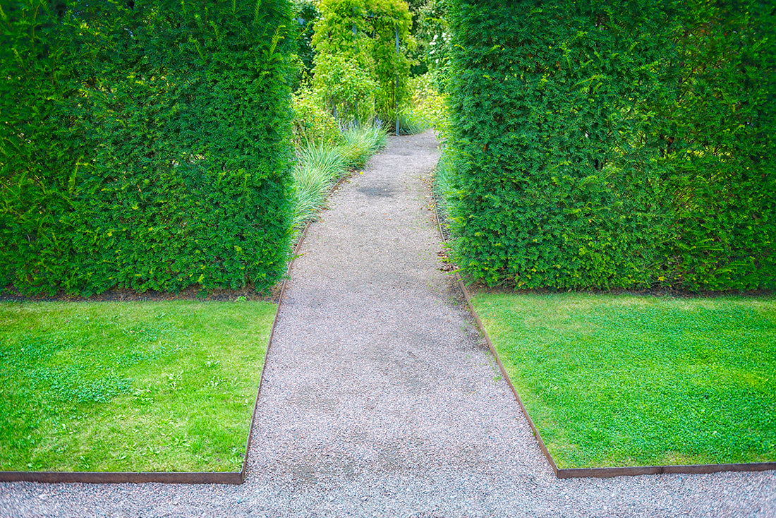 Landscape Edging Ideas for Picky People (They Can Look as Good as They Work!)