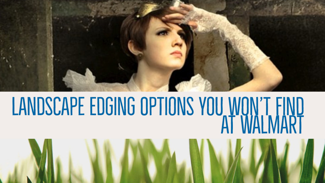 Landscape Edging You Won’t Find at Walmart—And WHY!