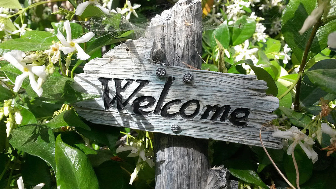 7 ways to dramatically improve your yard with limited time or funds