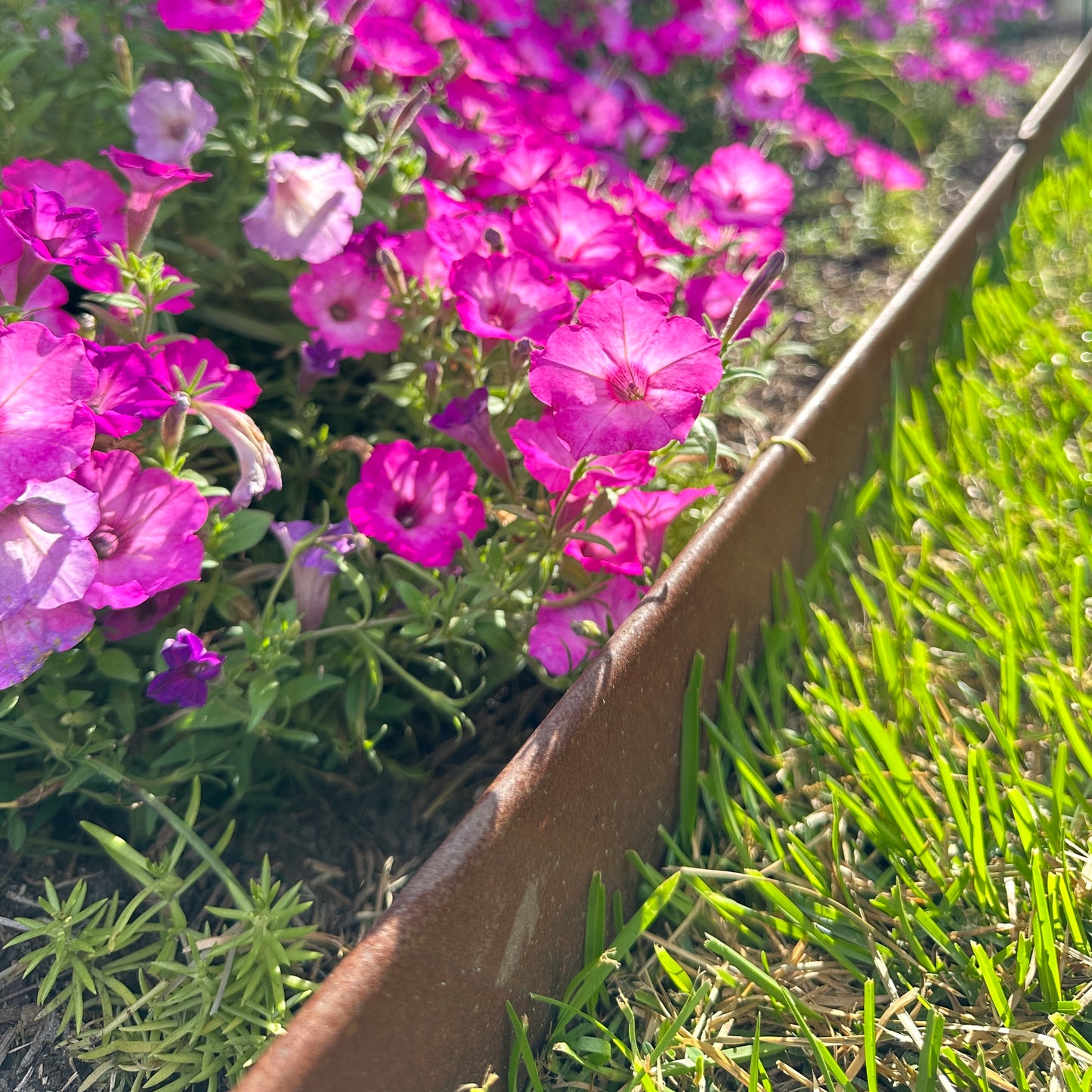 Hammer-In Landscape Edging - Cor-Ten Steel - 4ft Strips - Plus Connector Clips