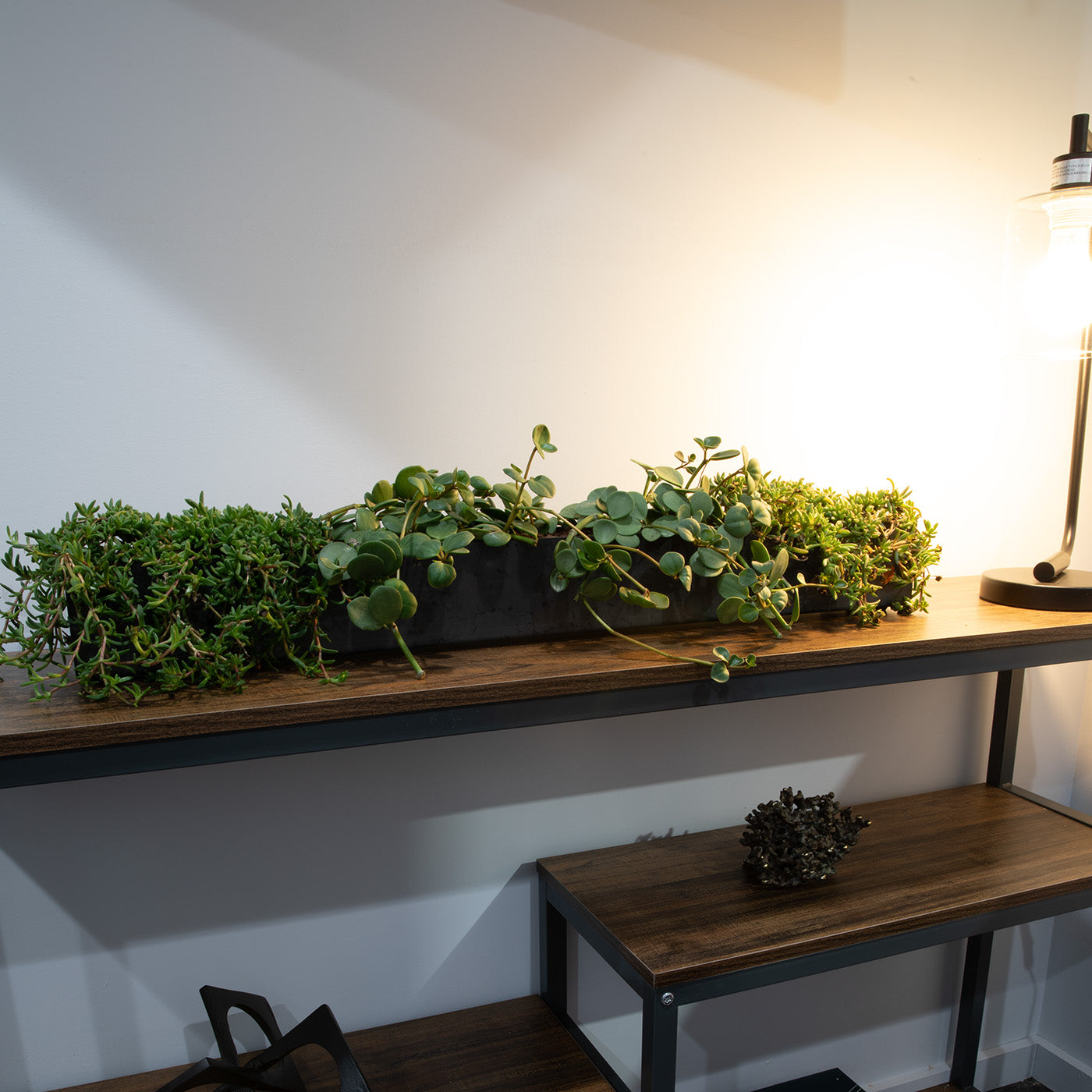 Steel Planter Box (32" L x 3.5" W x 3.5" H)