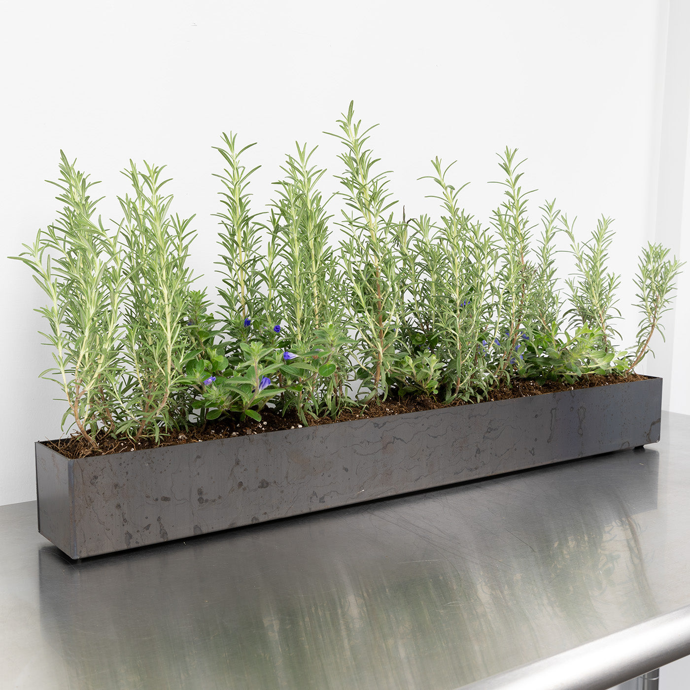 Steel Planter Box (32" L x 3.5" W x 3.5" H)