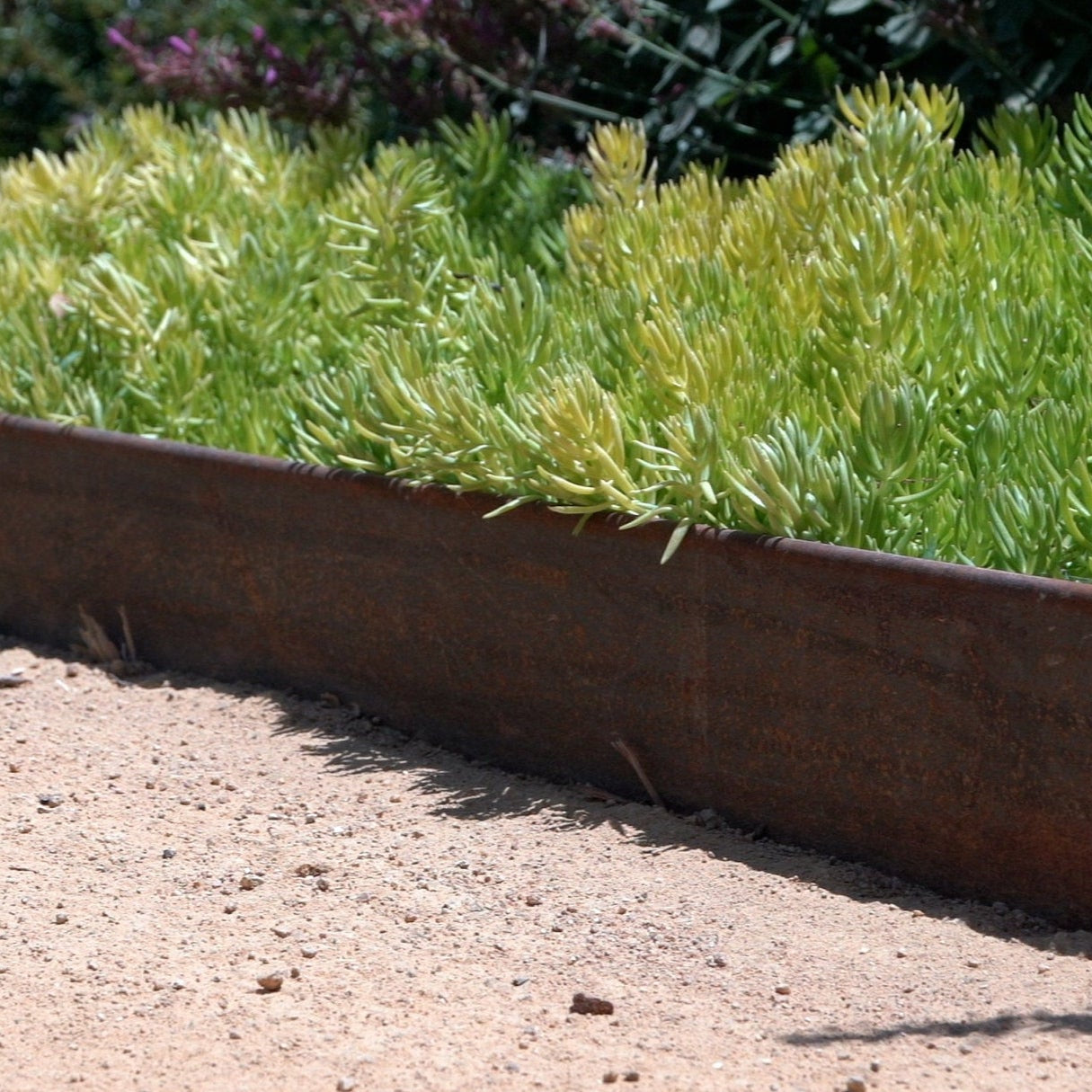 COR-TEN steel landscape edging planted with green succulents by sandy path