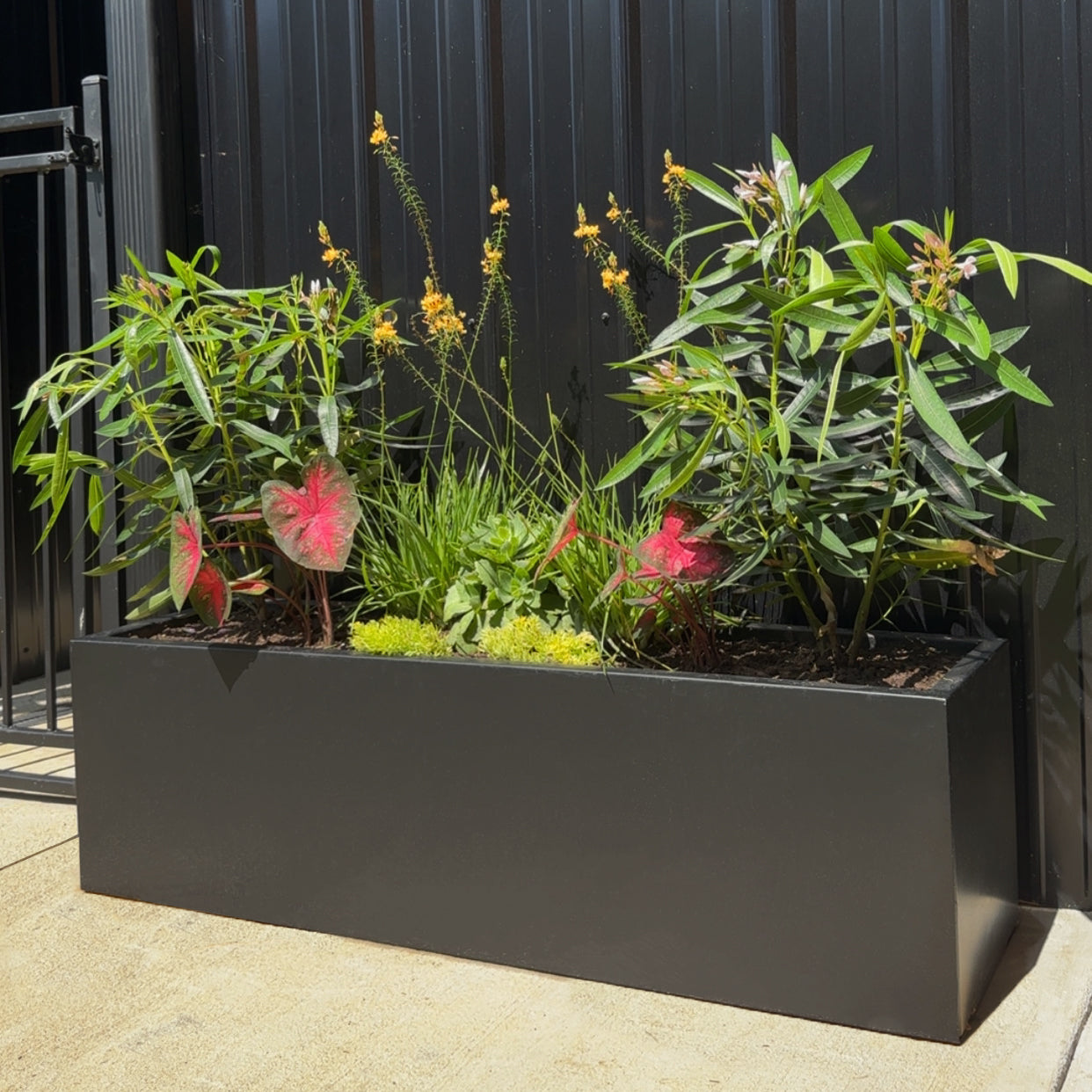 Steel Planter Box (14" L x 46" W x 14" H)