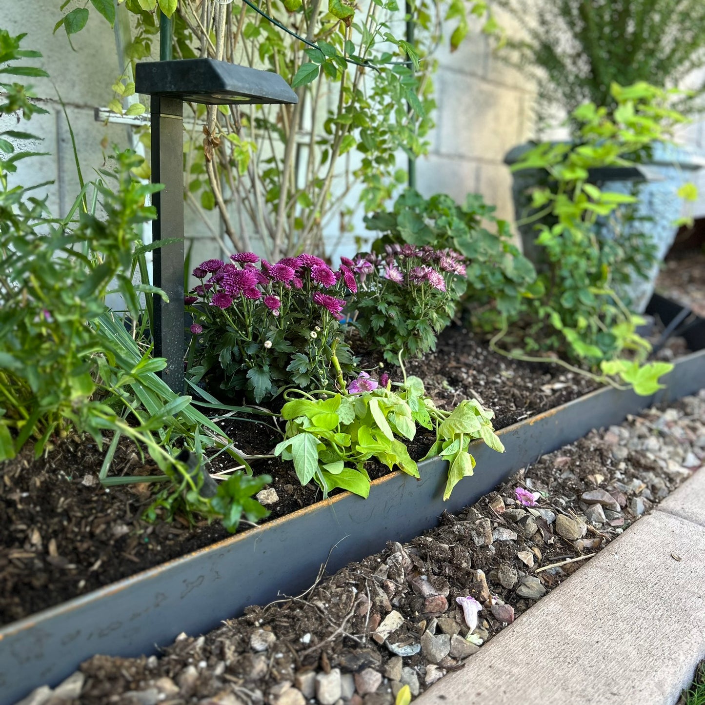 Hammer-In Landscape Edging - Cor-Ten Steel - 4ft Strips - Plus Connector Clips