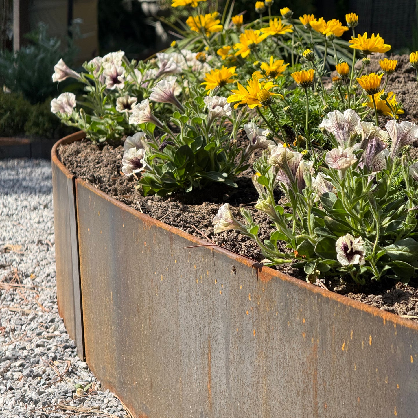 Hammer-In Landscape Edging - Cor-Ten Steel - 4ft Strips - Plus Connector Clips