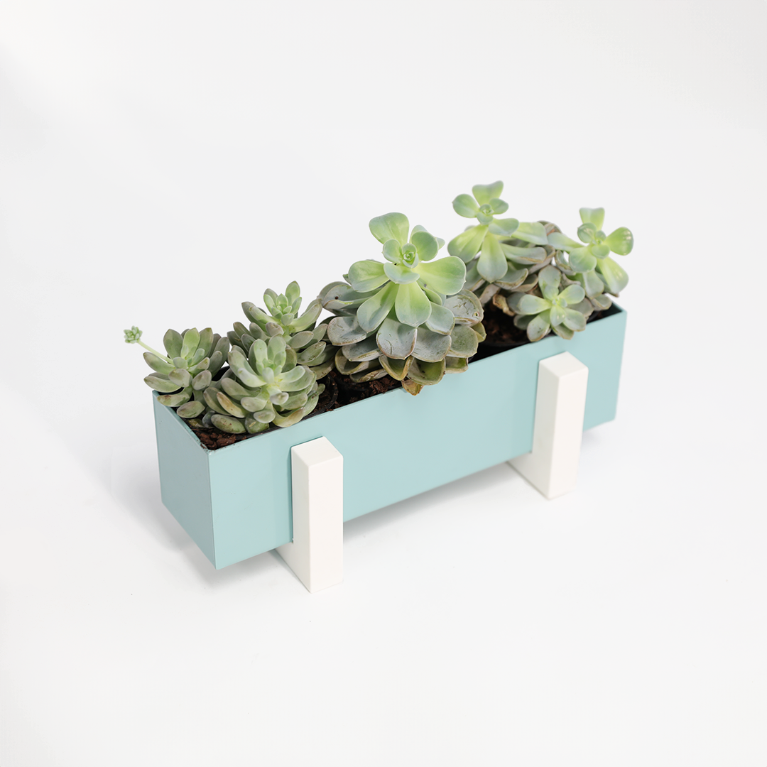 Steel Planter Box (12" L x 3" W x 3.5" H)