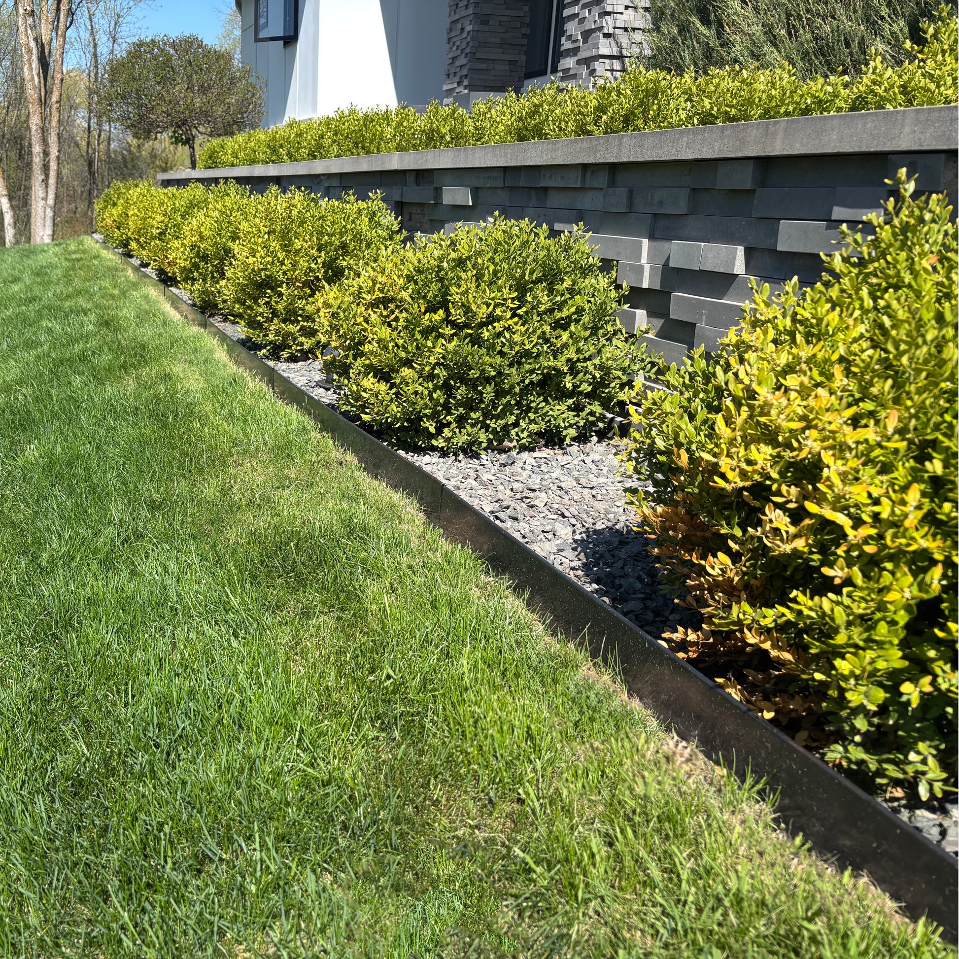 Clean CorTen landscape edging separating lawn from shrub bed with stone mulch.
