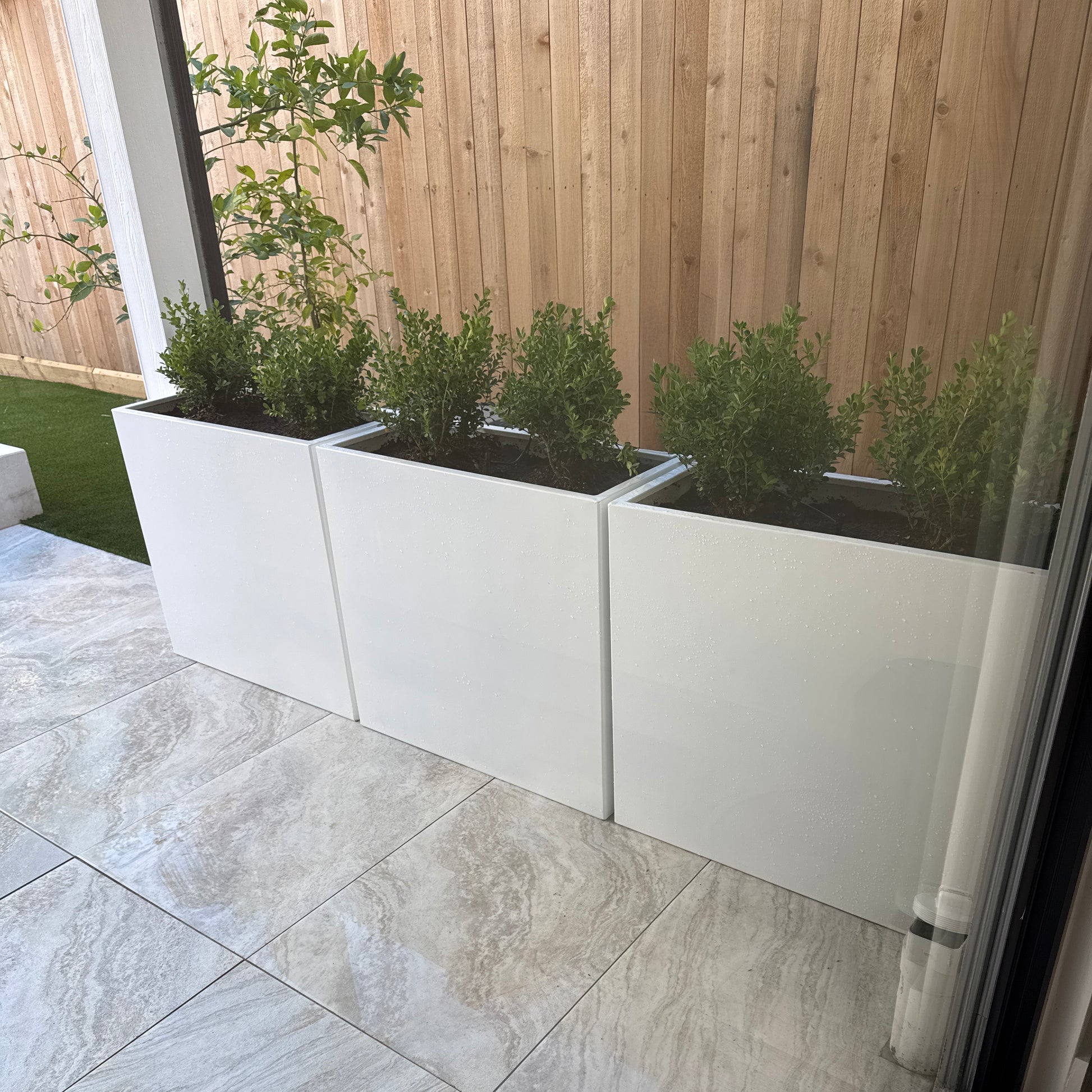 White steel planters with boxwood shrubs on modern tile patio